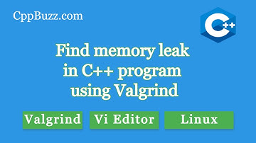 Find memory leak in C++ program using Valgrind | CppBuzz