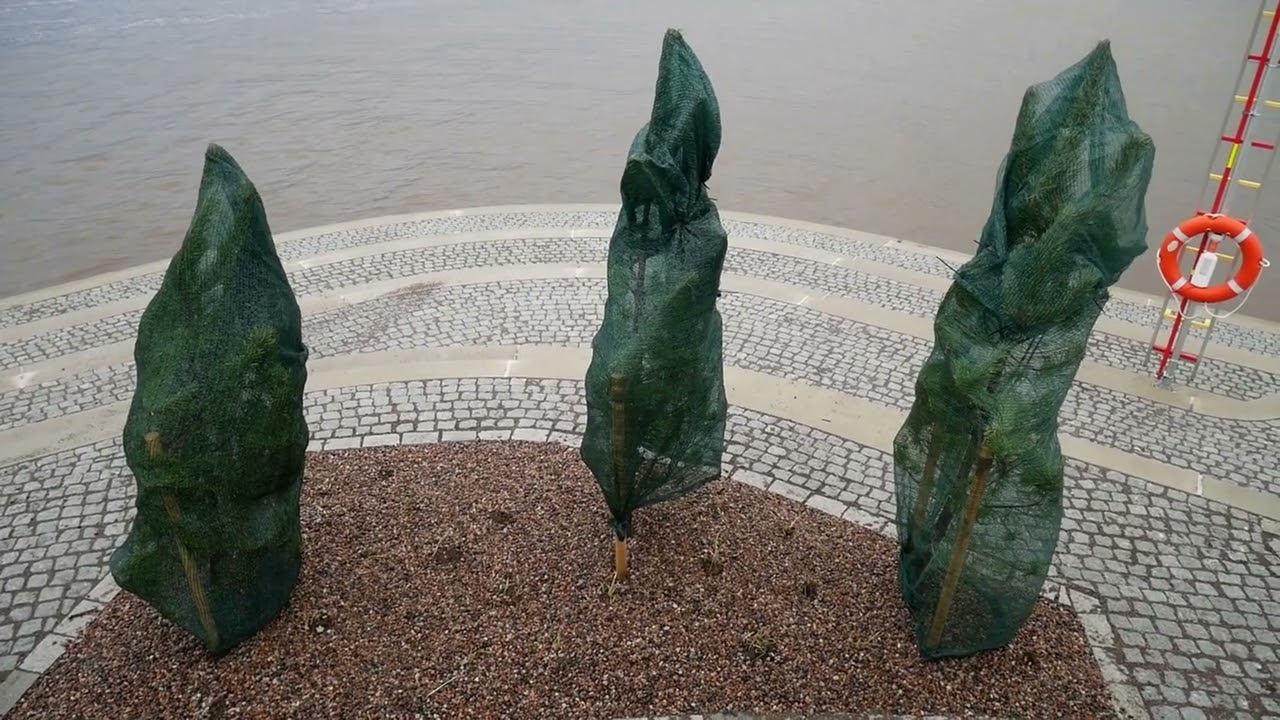 Korkeasaaren pohjoisosa on muutettu yleiseksi kaupunkialueeksi