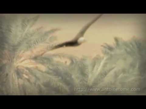 Vidéo Antoine tomé "te souviens tu de moi ?"