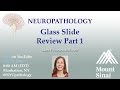 Neuropathology: Slide Review Par 1