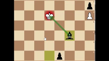 Noam Elkies and the Wrong Colored Bishop