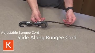 Bungee Cord