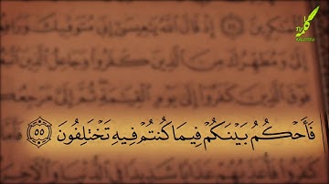 سوره آل عمران 53-61 همراه با ترجمه صوتی