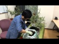 オリーブの土 開発秘話