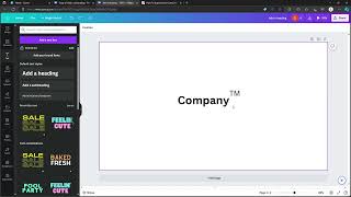 How to Do Superscript on Canva?