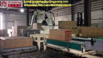 China robot palletizing and depalletizing system for cartons and cases