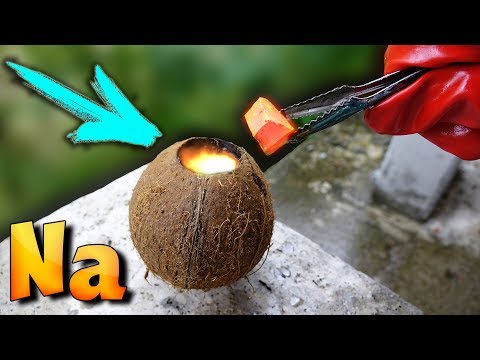 НИКОГДА НЕ СУЙТЕ в ОГРОМНЫЙ КОКОС - НАТРИЙ..!!!