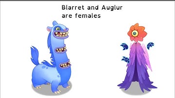 Plasma Islet in MSM Composer