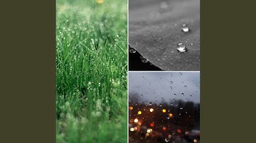 Pulsating Music for December Rains