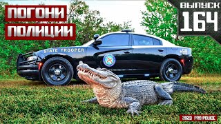 Погони полиции: Florida Highway Patrol [Выпуск 164 2024]