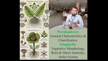 PTERIDOPHYTES, SELAGINELLA PART1.