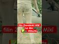 filin Zoombiah! Mīkī iyo Bīin Kasoo daawo bigkina YouTubka ✍️✅🧟‍♂️ #Shorts