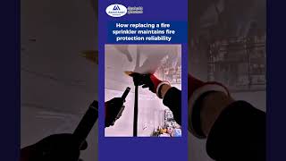 How replacing a fire sprinkler maintains fire protection reliability