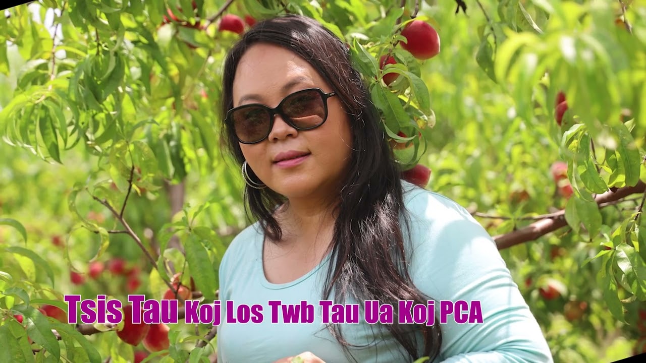 Tsis Tau Koj Los Twb Tau Ua Koj PCA. 8/21/2025