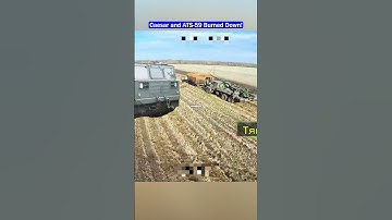 They Tried to Save the Caesar—Then This Happened