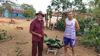 O NOSSO DIA A DIA NO SERTÃO PERNAMBUCANO BRASILEIRO. UMA PALESTRA COM SEU PEDRO JACÓ E JUSCELINO.