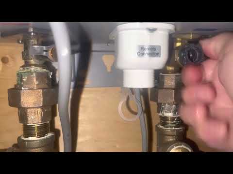 Rheem Tankless Water