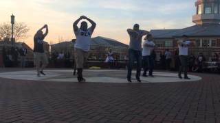 Psi Sigma Phi UNCC DGC Picnic Spring 2016