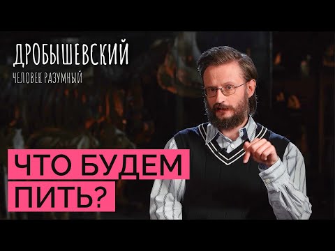 Как возникла тяга к алкоголю у предков? // Дробышевский. Человек разумный