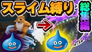 イルルカSPをスライムだけでクリアする！【ドラゴンクエストモンスターズ】【ゆっくり実況】 #総集編