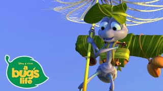 Flik Takes Flight 😎  | A Bugs Life | Disney Channel UK
