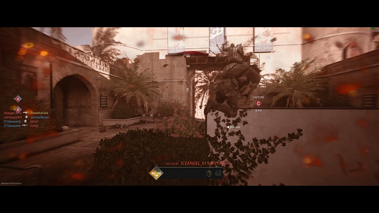 Call of Duty  Modern Warfare 2  kitty in the window