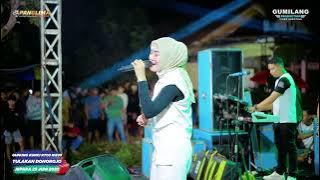 SESAL REZA PALUPI - PANGLIMA MUSIC - BIRTHDAY 5TH AMANDA PUTRI AGRESTINA - TULAKAN DONOROJO JEPARA