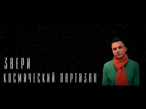 ЗВЕРИ - Космический партизан (cover) ♪ ZVERI (2018)