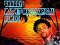 Shaggy Wasn´t Me Tropical Remix