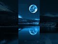 Moonbird - A Lyrical Journey Through Love &amp; Light/ Official Track/ Original Song by Arif Qaboos