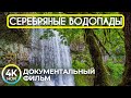 Красота и интересные факты о парке Silver Falls - 4K HDR Документальный фильм о природе штата Орегон