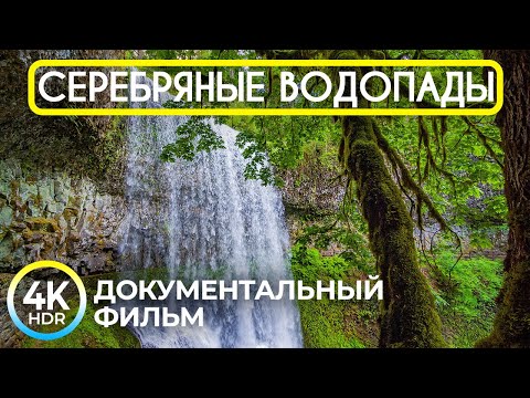 Красота и интересные факты о парке Silver Falls - 4K HDR Документальный фильм о природе штата Орегон