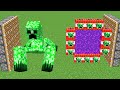 mutant creeper + secret creeper portal = ???