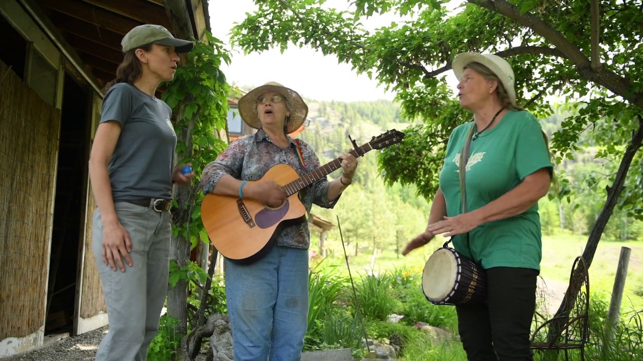 "Water, She Rise Up" -- a song about restoring streams with beaver dam analogues