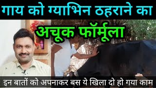 गाय को गाभिन ठहराने का अचूक फॉर्मूला cow ko pregnant roken D D Ramawat
