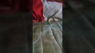 18 De Fevereiro De 2023