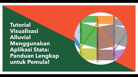 Tutorial Visualisasi Alluvial Menggunakan Aplikasi Stata: Panduan Lengkap untuk Pemula!