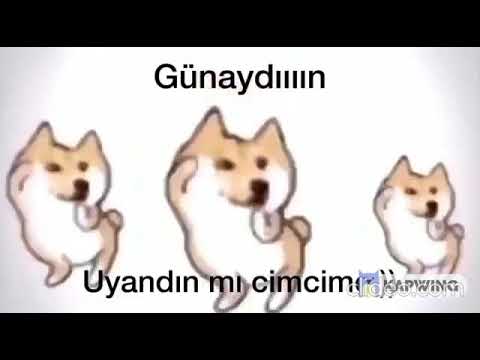 Uyandın mı cimcime uzun versiyon(20 dakika)