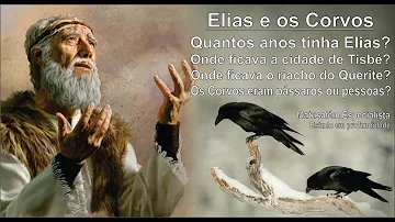 Que tipo de carne Os corvos levaram para Elias?