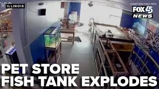 VIDEO: Massive pet store fish tank explodes, hundreds of fish killed