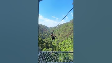 Zipline 1500m tại Thác Datanla - Đà Lạt
