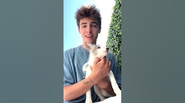 IM BUILDING A ZOO 🔥🔥🔥 NEW VIDEO 🔥🔥🔥 #kylethomas #shorts