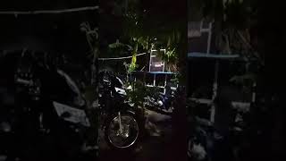 Download Lagu cek sound BUSER AUDIO di suger kidul MP3