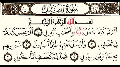 (105) سورة الفيل | شيخ الزين محمد احمد