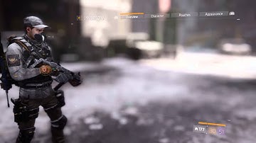 The Division ps4 post 1.1 update:Dps bug