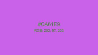 Project All Colours   CA61E9   RGB 202,97,233