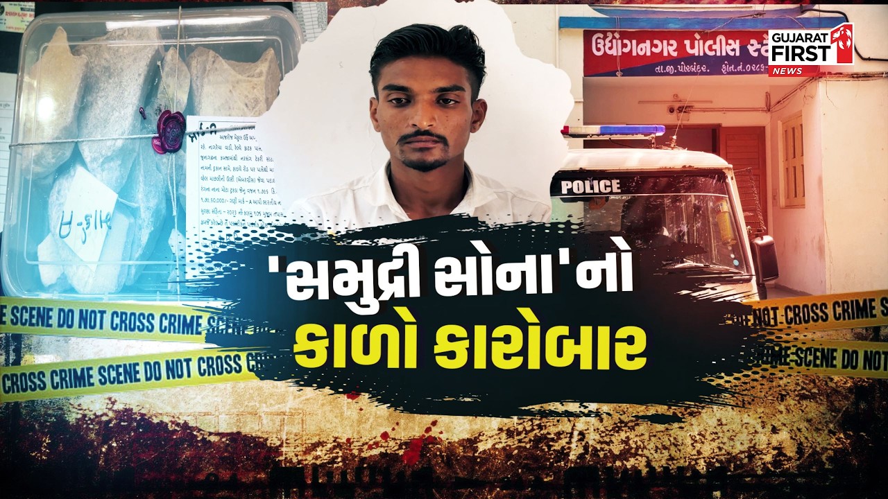 Porbandar : SOGને મહત્વની સફળતા મળી, 'વ્હેલની ઉલ્ટી' સાથે 23 વર્ષીય યુવાન ઝડપાયો | Gujarat First