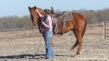 Walt***For info, price, etc., go to our website*** Valley View Ranch