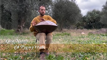 MrPans handpan - C# Pygmy 11+6 - Luca Natali