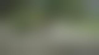 JOGET SENYUM MEMIKAT